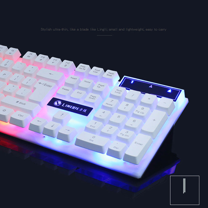 LED Keyboard & Mouse